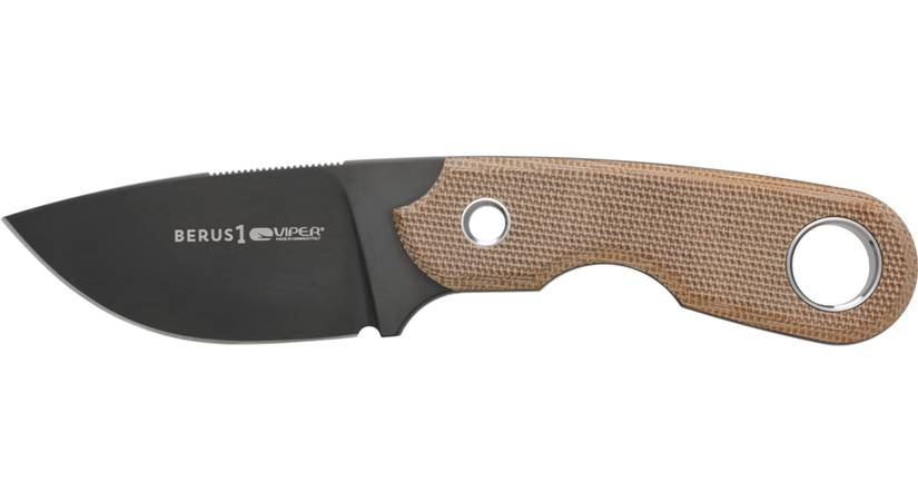 BERUS1